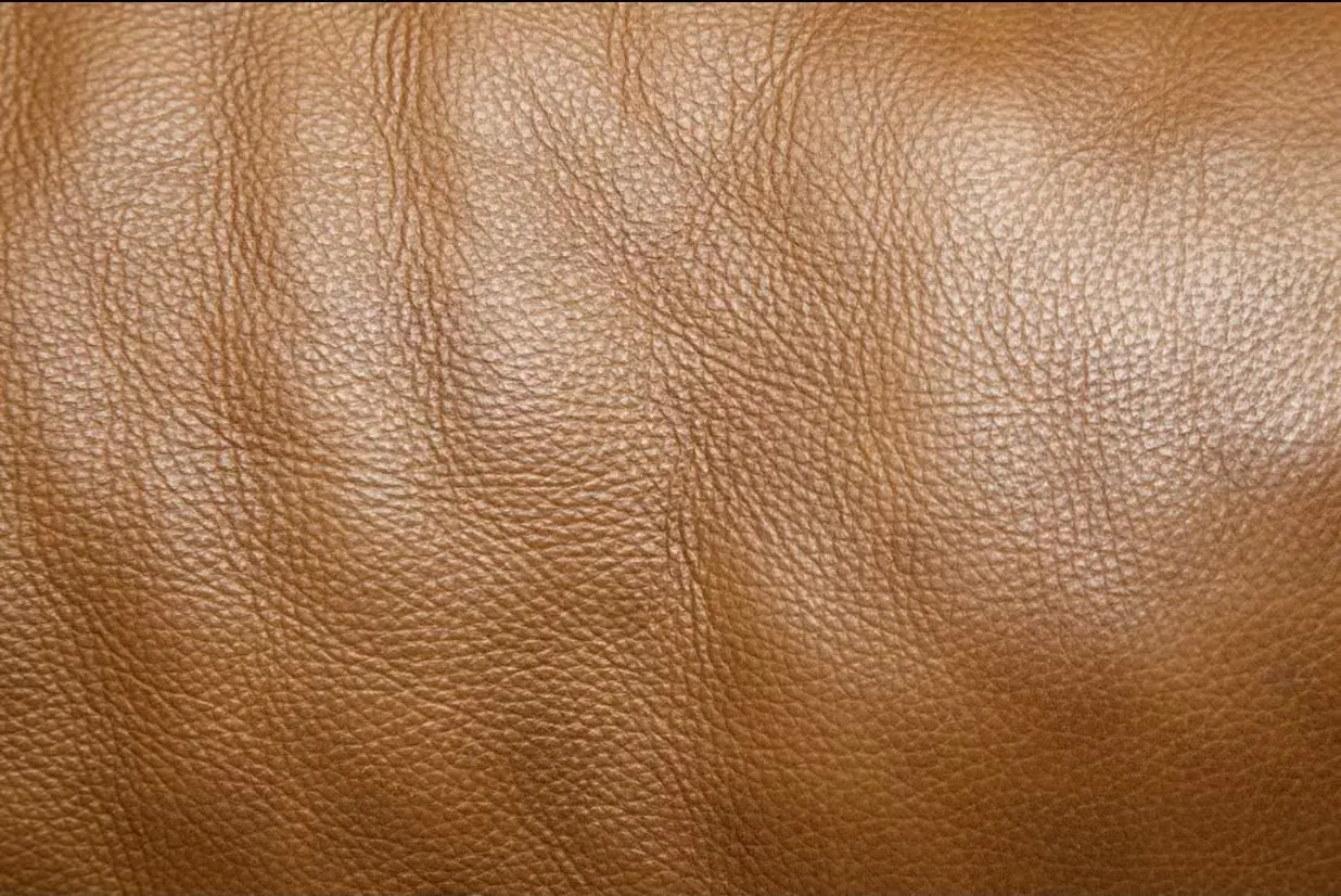 Talee Briefcase